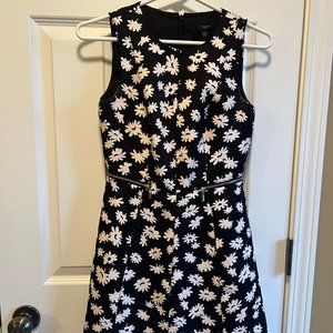 Ann Tayor Party Dress-00P